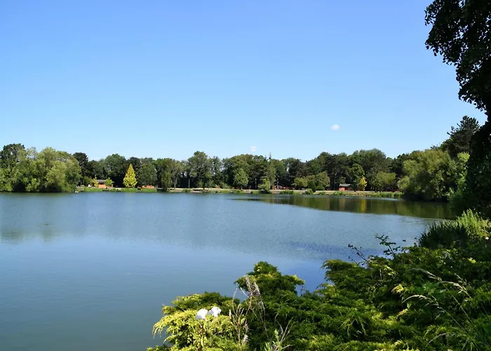 別荘 Beech 1 Hot Tub ヨーク